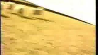 MaccLads:   No Sheep &#39;Till Buxton