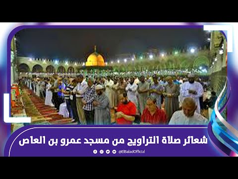 8 رمضان شعائر صلاة التراويح من مسجد عمرو بن العاص
