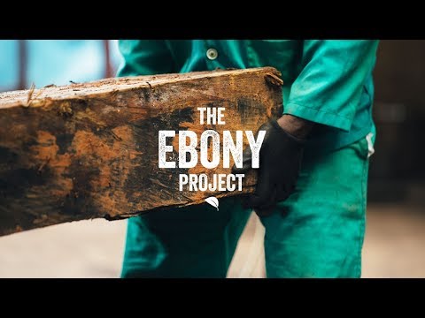 The Ebony Project | Preview Video | Taylor Guitars
