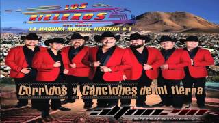 Los Rieleros del Norte - Besos Sin Futuro 2015