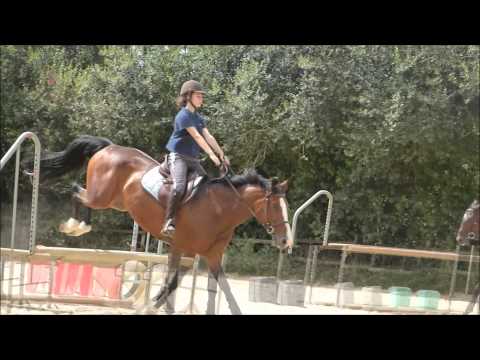 [11/07/2015] Séance de saut  (g5, 6)