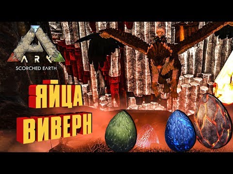 СОБИРАЕМ ЯЙЦА ВИВЕРН - ARK: SCORCHED EARTH
