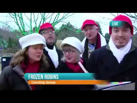 Promotional video thumbnail 1 for The Frozen Robins/Mingle with the Kringles