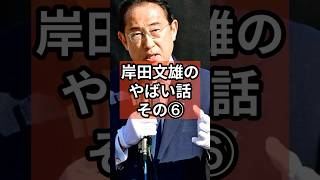 岸田文雄のやばい話⑥ #政治 #自民党   #石破茂  #岸田文雄 #shorts  #投票 VOICE:VOX 青山龍星 VOICE:VOX Nome