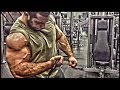 BADASS ARMS WORKOUT #2 - Lorenzo Bezerker