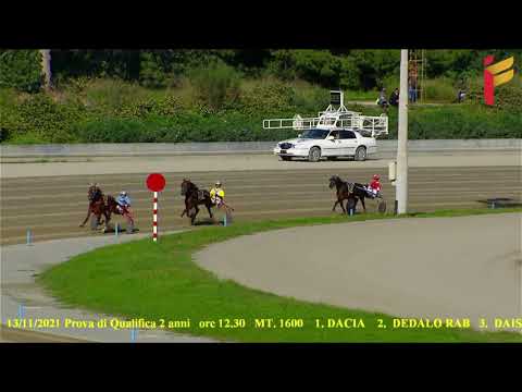 Prova di qualifica del 13 Novembre 2021   2 Anni   Metri 1600