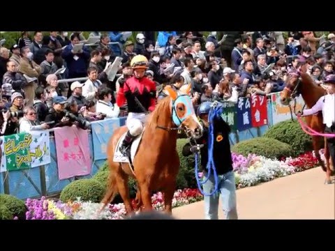 藤田菜七子騎手の7Rを追ってみた結果～初勝利はお預けもパドックの笑顔は天使級？中山7R