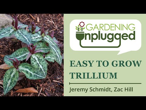 Gardening Unplugged - Easy to Grow Trillium with Zac Hill and Jeremy Schmidt