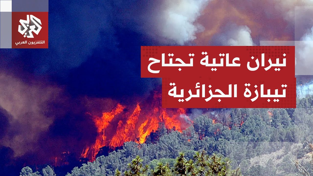 حالة استنفار قصوى وسط رياح قوية.. الجزائر تكافح لإخماد حرائق مهولة اندلعت في ?