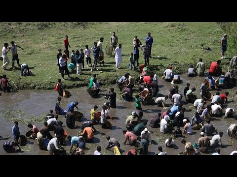 Video Thumbnail: Fishing festival in India's Kashmir helps clean spring water | AFP