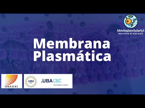 Clase 14. MEMBRANA PLASMÁTICA. Características y Transporte. #UBAXXI y #CBC