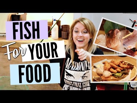 ZAUO: JAPAN`S INTERACTIVE FISHING RESTAURANT// CATCH YOUR SUSHI!