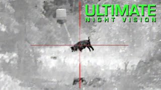 4 out of 5 Pigs Recommend Night Vision over Thermal for Hunting at Night