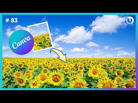 Curso de Canva grátis e completo do zero ao avançado