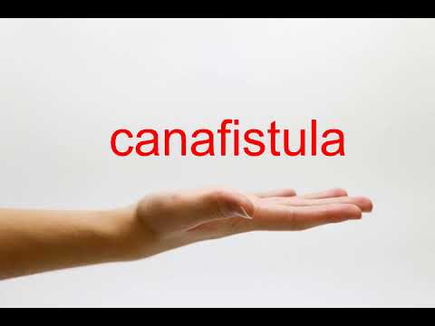 How to Pronounce canafistula - American English