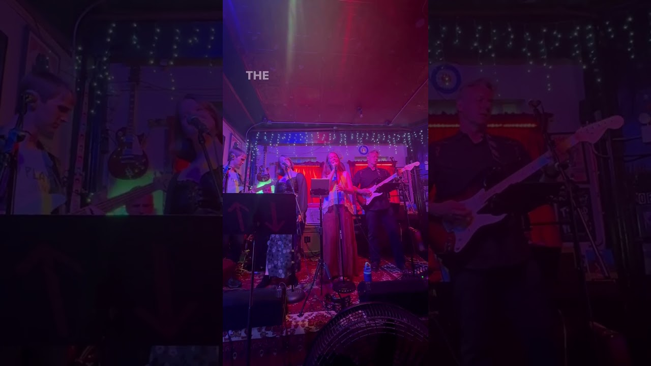 Promotional video thumbnail 7 for Abbey Ray and the Sunstones