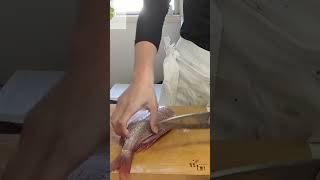 真鯛を捌く🍀#お魚捌き #刺身の切り方 #料理 #cooking