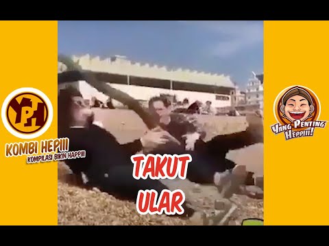 kombi-heppiii-takut-ular