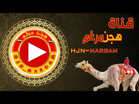 img-video