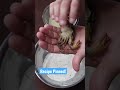 Cooking Soft Shell Crab In Air Fryer