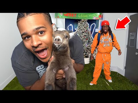 Fanum Shows AMP His New Pet..😂