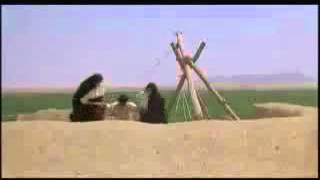 Трейлер: Цветок тысяча и одной ночи