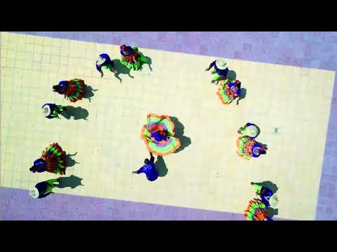 Presentación del Grupo Folclórico Son de Pajarito de Salamina Magdalena 