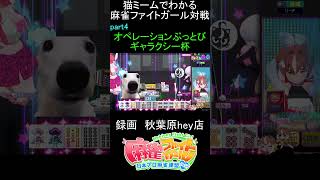 猫ミームでわかる　麻雀ファイトガール　ショート動画　part4　#麻雀ファイトガール 　#猫ミーム　#shorts