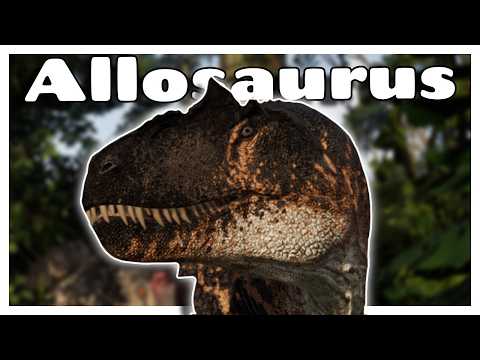 The Allo Is Finally Here And Its AMAZING!!!