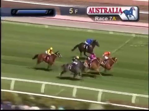 Chautauqua - Lighting Stakes 2016