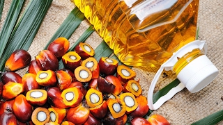 Risiko Palmöl: Krebserregender Stoff in Lebensmitteln?