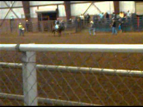 Adam Lucero bullriding