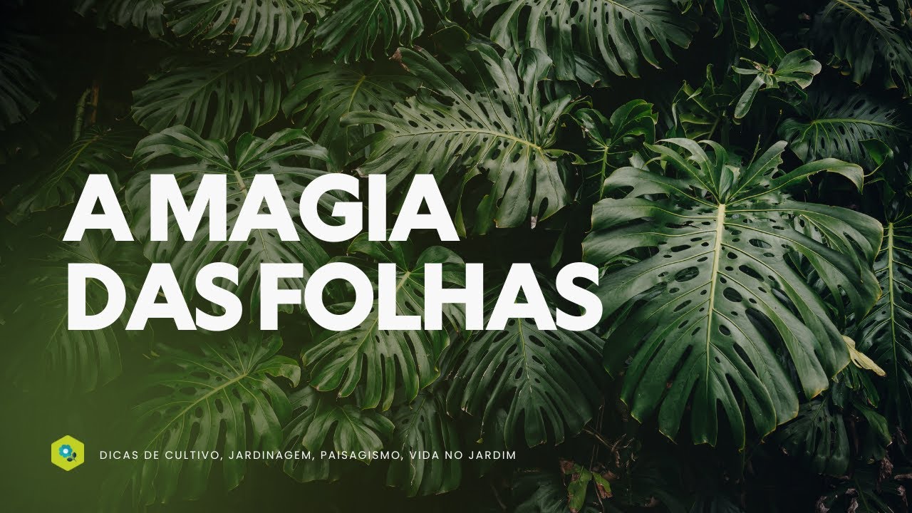A MAGIA das FOLHAS: COMPOSTAS, RECORTADAS e ENCANTADORAS