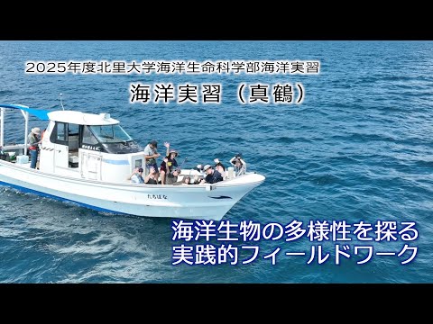 海洋生命科学科 2025年度 海洋実習（真鶴）