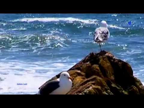 JAMES LAST - Biscaya