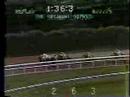 1975 Belmont Stakes