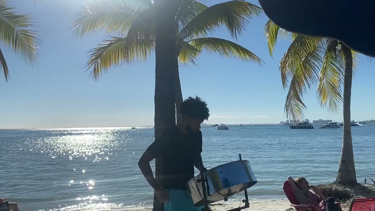 Promotional video thumbnail 4 for Steel Drums by Aaron Mentos