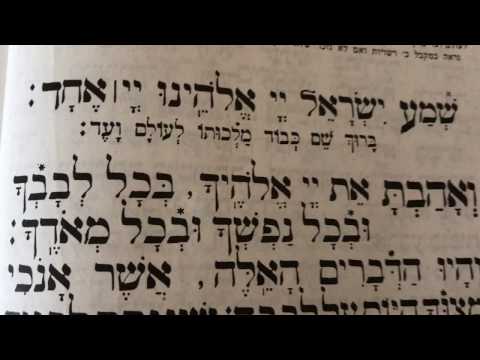Tefilah 25 The Shma 1st Paragraph - Prayer - Sharchris - תפילה 25 שמע ואהבת – שחרית