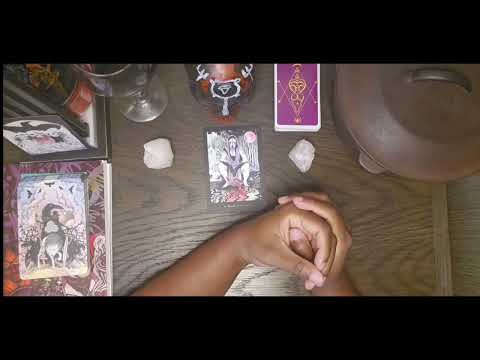 How I Met The Morrigan