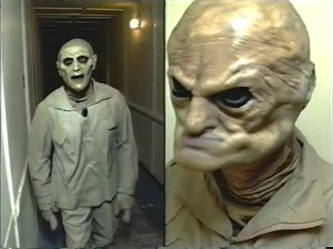 cat soup - cursed [video]