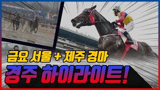 [금요 경마] 2025년 10월 3일 금요 경주 하이라이트 #경마 #한국마사회 #하이라이트