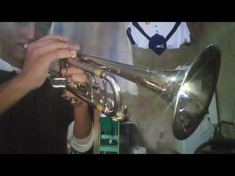 COMO TOCAR TE BOTE, OZUNA EN (TROMPETA)