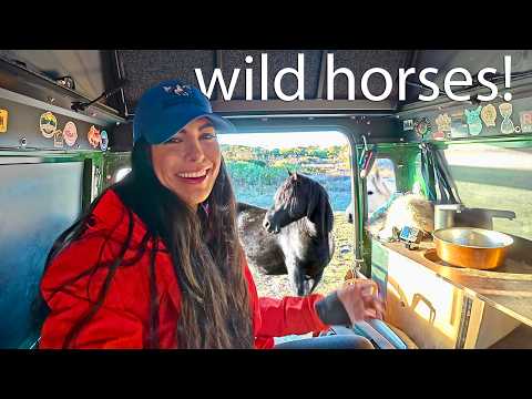 Overnight Island Truck Camping with Wild Horses
