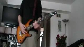 millencolin-shut you out (guitar cover)