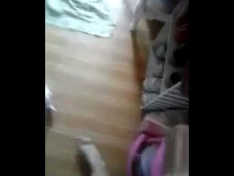 Hablar que hacer en la tarde