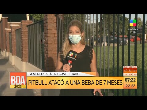 Un pitbull atacó a una beba de 7 meses, la menor está en grave estado