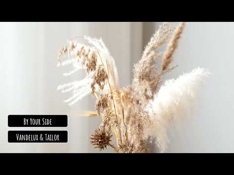 Vandelux & Tailor - By Your Side