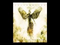 Surgical-Celldweller