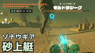 【ティアキン】ゾナウギアでモルドラジーク戦【ボス戦】