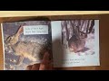 Look Alike Animals